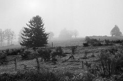 Misty atmosphere - Photo of Sapois
