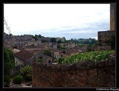 Le Bordelais. Nouvelle Aquitaine. France - Photo of Castillon-la-Bataille