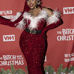 Bitch Who Stole Xmas Red Carpet-363