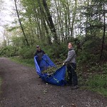 Volunteers hauling ivy