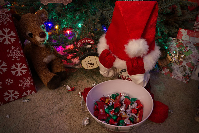 December 18 - Elmo got into the chocolates