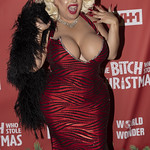 Bitch Who Stole Xmas Red Carpet-204