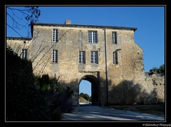 Le Bordelais. Nouvelle Aquitaine. France - Photo of Saint-Ciers-de-Canesse
