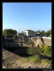 Le Bordelais. Nouvelle Aquitaine. France - Photo of Cussac-Fort-Médoc