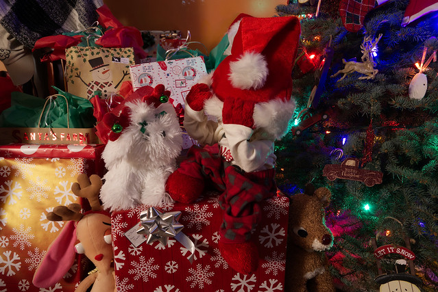 December 17 - Elmo Hiding from a Christmas puppy