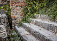 Roman Theatre Steps, long since used - Photo of Fontaines-sur-Saône
