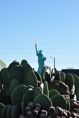 Liberty & Cacti
