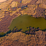 Las lagunas de La Guardia (Toledo) a vista de dron. 16-11-2021