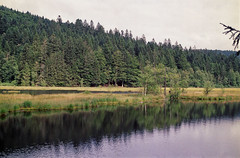Lispach lake