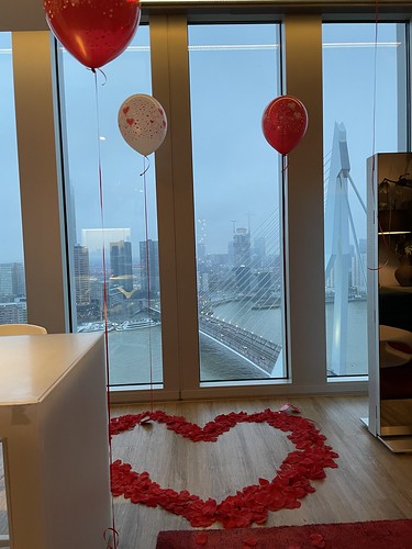 Heliumballonnen aan gewicht met hart van rozenblaadjes Huwelijksaanzoek Rem Koolhaas Suite NHOW Hotel Rotterdam