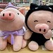More pigs at Miniso