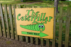 Photo 1 of 1 in the Caterpillar gallery