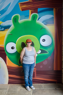 Photo 5 of 8 in the Angry Birds Activity Park gallery