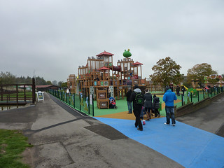 Photo 2 of 8 in the Angry Birds Activity Park gallery