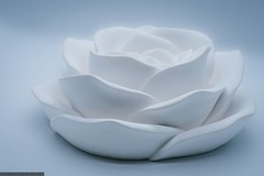 Product Photography @ PCR - White Plaster Rose