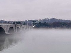 fog and the Memorial Bridge