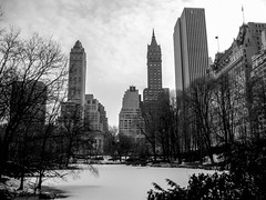 Winter in Manhattan