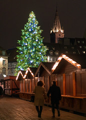 Grand sapin de Noël, Place Kléber, Strasbourg - Photo of Oberhausbergen