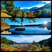 Los lagos del fuji