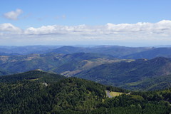 Mont Gerbier-de-Jonc - Photo of Arcens