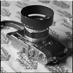 Leica M3 | Canon 50mm ƒ/1.2 LTM