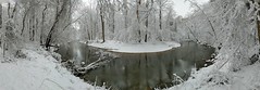 Cabin John Creek in winter