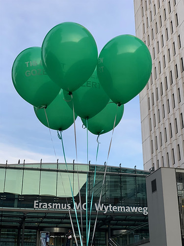 Heliumballonnen Bedrukt Erasmus MC Sophia‎ Kinderziekenhuis Rotterdam
