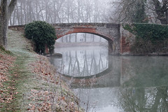 L-hiver, au bord du canal - Photo of Auragne