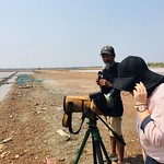 BCST staffs survey at Pak Thale reserved center, salt pan habitat