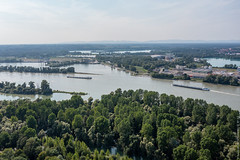 Rheinhochwasser bei den Tomateninseln Au am Rhein - Photo of Lauterbourg