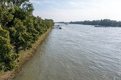 Rheinhochwasser bei Plittersdorf/Rhein - Photo of Trimbach