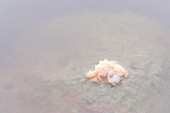 A Touch of Salt - Photo of La Grande-Motte