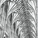 Winchester Cathedral Ceiling by Paul Lambeth