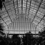 Kew Temperate House interior by Rob Draper