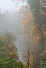 canal in the mist
