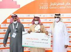 مهرجان قطر للإبل.. (جزيلات- العطايا) 4-2-2022