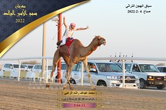 منافسات السباق التراثي (مهرجان سمو الأمير الوالد) صباح 4-2-2022