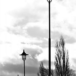 Street-Lamps and Tree-Tops by Sue Ould