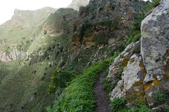 Trasa Roque de Taborno