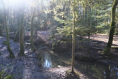 Ruisseau des Fées @ Bois des Glaisins