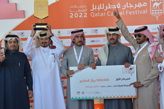 مهرجان قطر للإبل..  تكريم لجنة التحكيم (التشبيه والتسنين) بمنافسات فئة المغاتير الأربعاء ٩-٢-٢٠٢٢