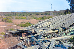 Fort Ord Building Ruins