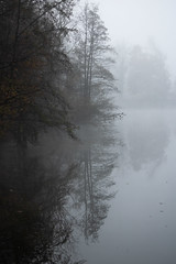 fog and reflection
