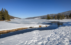 Tributary flowing into the frozen  Lac des Rousses / Affluent se jetant dans le lac gelé des Rousses, Jura, France,  Jura, France