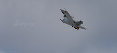 Rafale Solo Display 2021 - Photo of Champdeuil