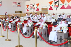 مهرجان قطر للإبل.. بانوراما شوط: الجمل (تلاد 10) الأثنين 14-2-2022