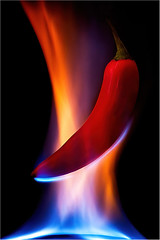 A Group 1st Place Ross Elliott Flaming Hot Chilly - Section 3 2021/22 Open Theme