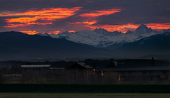 A fire in the sky above the Alps. Sunrise in Crozet, Pays de Gex, France - Photo of Lélex