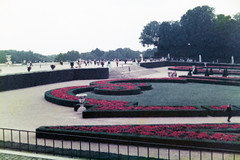 Versailles Gardens 3 1978 - Photo of Saclay