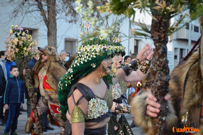 desfile-nacional-carnaval-tomelloso-2022299